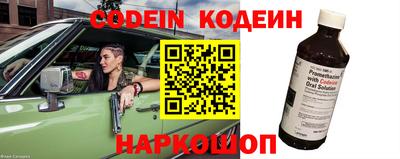 скорость Кингисепп