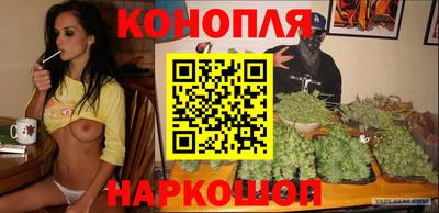 скорость Кингисепп